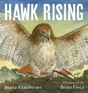 Cover of the book Hawk Rising by Eric Rohmann