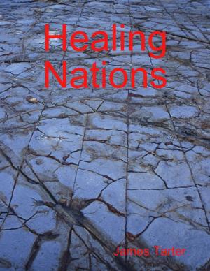 Cover of the book Healing Nations by Rachel Hobbs