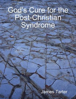 Cover of the book God's Cure for the Post-Christian Syndrome by Dan Mitchell