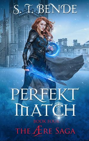 Book cover of Perfekt Match (The Ære Saga Book 4)