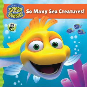 Cover of the book Splash and Bubbles: So Many Sea Creatures! by Lois Lowry