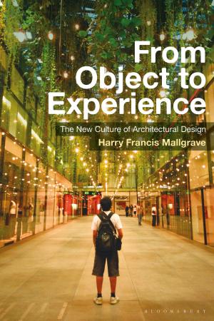 Book cover of From Object to Experience