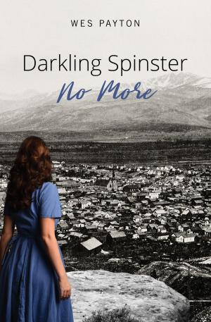 Cover of the book Darkling Spinster No More by C.J. Lanet