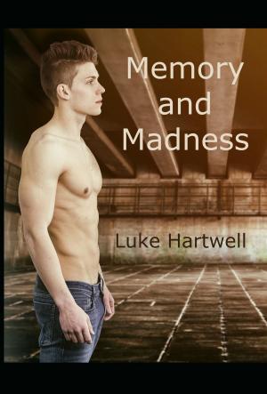 Cover of the book Memory and Madness by Keith Hale