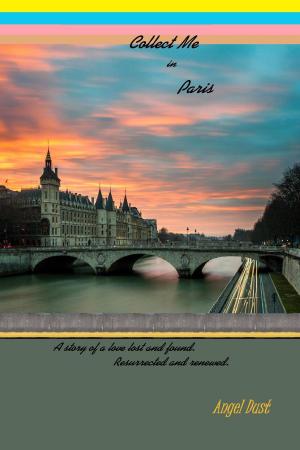 Cover of Collect Me In Paris