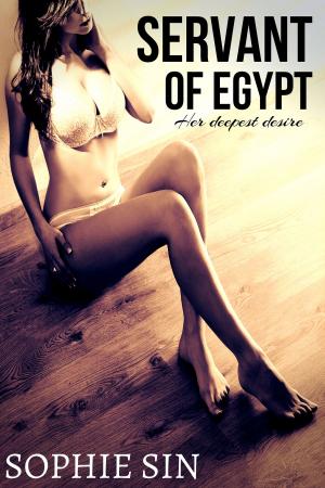 Book cover of Servant of Egypt