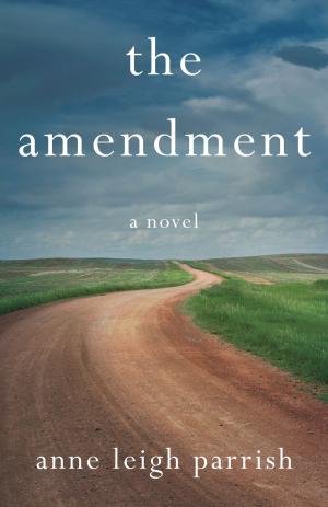 Book cover of The Amendment