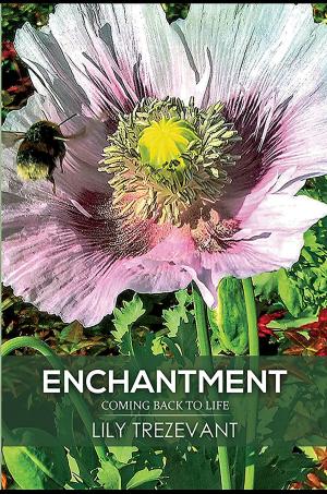 bigCover of the book Enchantment: Coming Back to Life by 