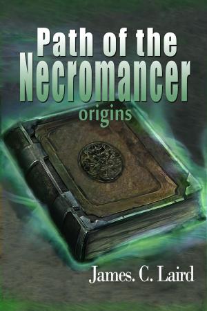 Cover of the book Path Of The Necromancer: Origins by Andi Winter