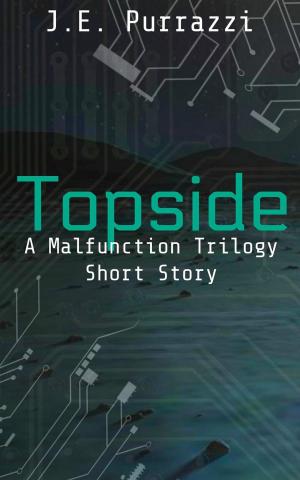 Book cover of Topside