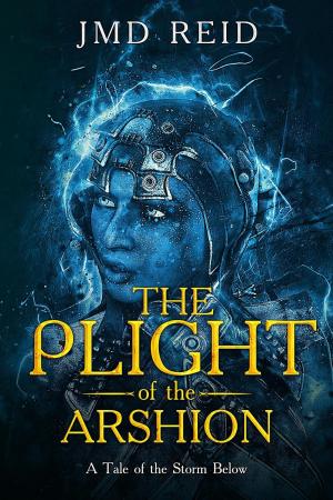 Cover of the book The Plight of the Arshion (A Tale of the Storm Below) by L A Hammer