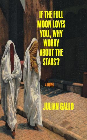Book cover of If The Full Moon Loves You, Why Worry About The Stars?