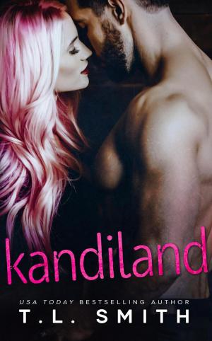 Cover of the book Kandiland by Magenta Phoenix