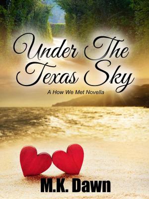 Cover of Under the Texas Sky (A How We Met Novella)