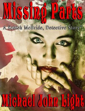 Book cover of Scotch McBride: Missing Parts