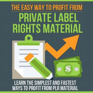 bigCover of the book The Easy Way to Profit From Private Label Rights Material by 