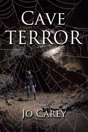 Cover of the book Cave Terror by Jo Carey