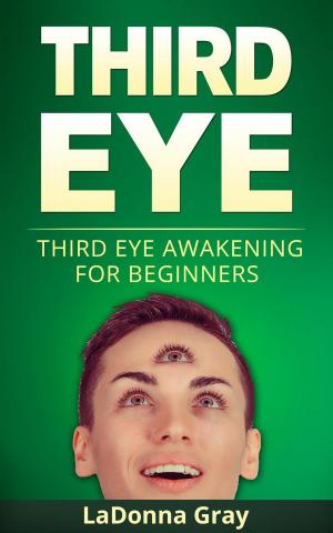 Book cover of Third Eye Awakening for Beginners
