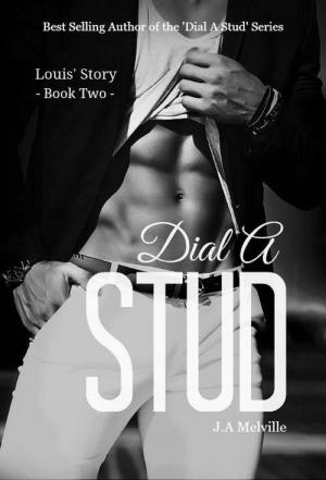 Cover of the book Dial A Stud. Louis' Story by Valia Vixen