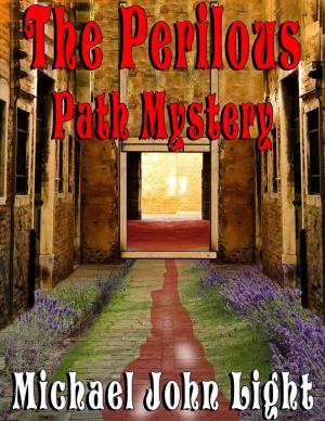 Cover of the book Scotch McBride The Perilous Path Mystery by S. Burke