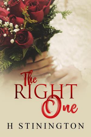 Book cover of The Right One