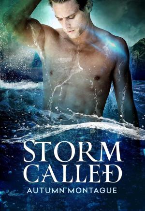 Book cover of Storm Called