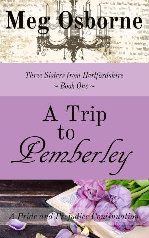 Cover of the book A Trip to Pemberley by Meg Osborne