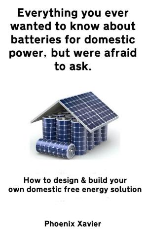 bigCover of the book Everything you Ever Wanted to Know About Batteries for Domestic Power, but Were Afraid to ask by 