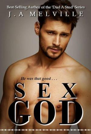 Book cover of Sex God