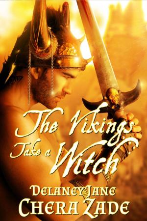 Cover of the book The Vikings Take a Witch by Delaney Jane, Chera Zade