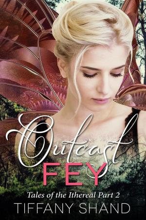Book cover of Outcast Fey