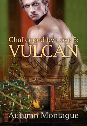 Book cover of Vulcan