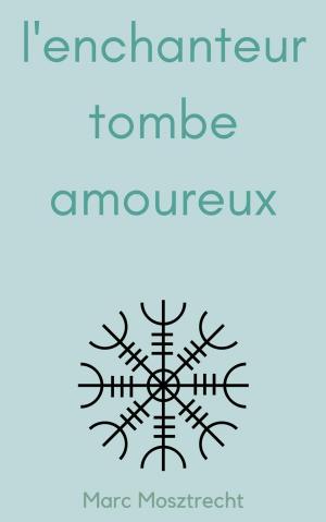 Book cover of L'Enchanteur Tombe Amoureux 1