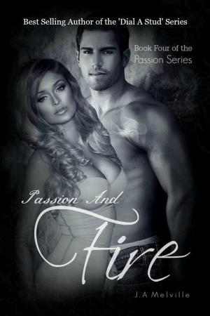 Cover of the book Passion And Fire by Marla Shin