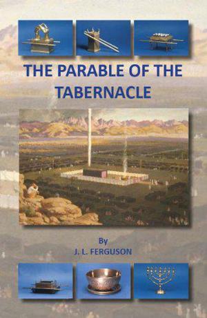 Cover of the book The Parable of the Tabernacle by Keith Dorricott