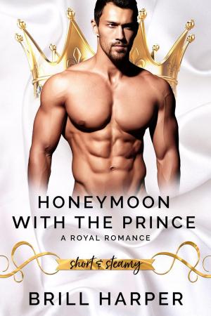 Cover of Honeymoon With The Prince::A Modern Day Fairy Tale