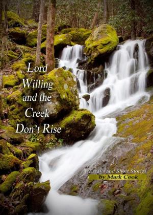 Cover of the book Lord Willing and the Creek Don't Rise by Rachel McGrath
