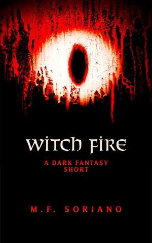 Cover of the book Witch Fire: A Dark Fantasy Short by M.F