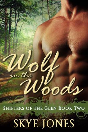 Cover of the book Wolf in the Woods by Claire Davon