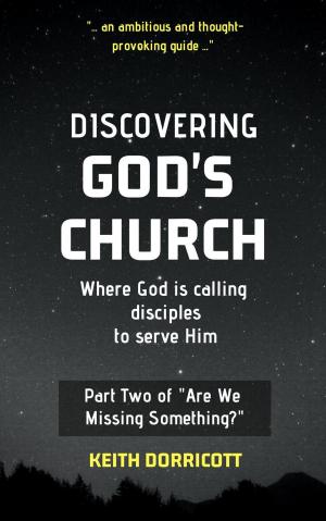 Cover of the book Discovering God's Church by Brian Johnston