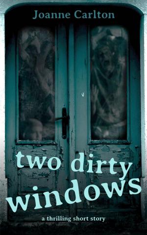 Cover of the book Two Dirty Windows by Guy Bishop