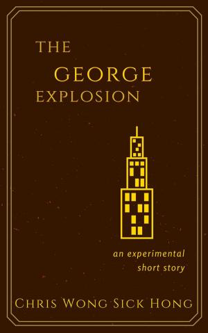 Book cover of The George Explosion