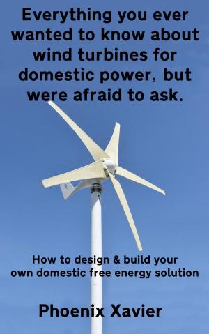 Cover of the book Everything You Ever Wanted to Know About Wind Turbines for Domestic Power, but Were Afraid to Ask by Stephen Orr