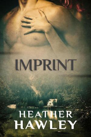 Cover of the book Imprint by Terri Brisbin