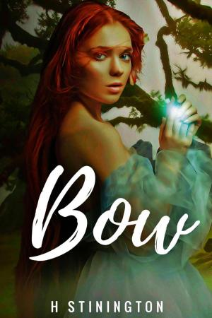Cover of the book Bow by TL Schaefer