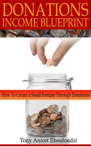 Cover of DONATIONS INCOME BLUEPRINT: How to create a small fortune through donations