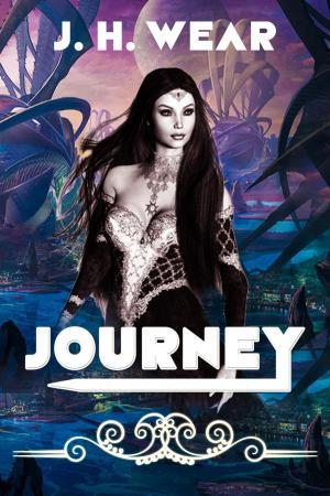 Cover of the book Journey by Zach Bohannon