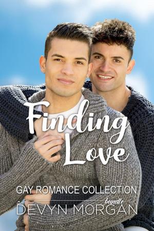 Book cover of Finding Love Gay Romance Collection