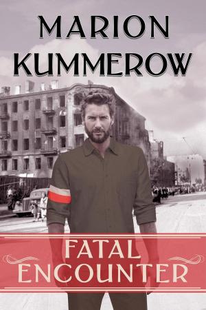 Cover of the book Fatal Encounter by Timm Gillick