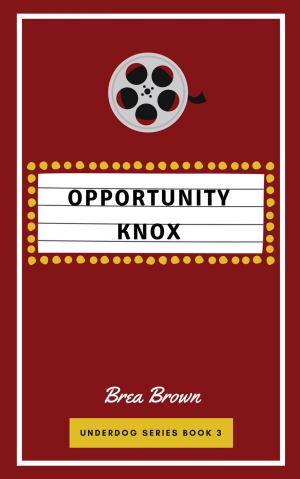 Cover of the book Opportunity Knox by Leslie O'Kane